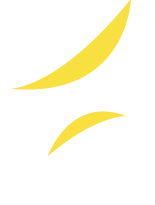 Accueil